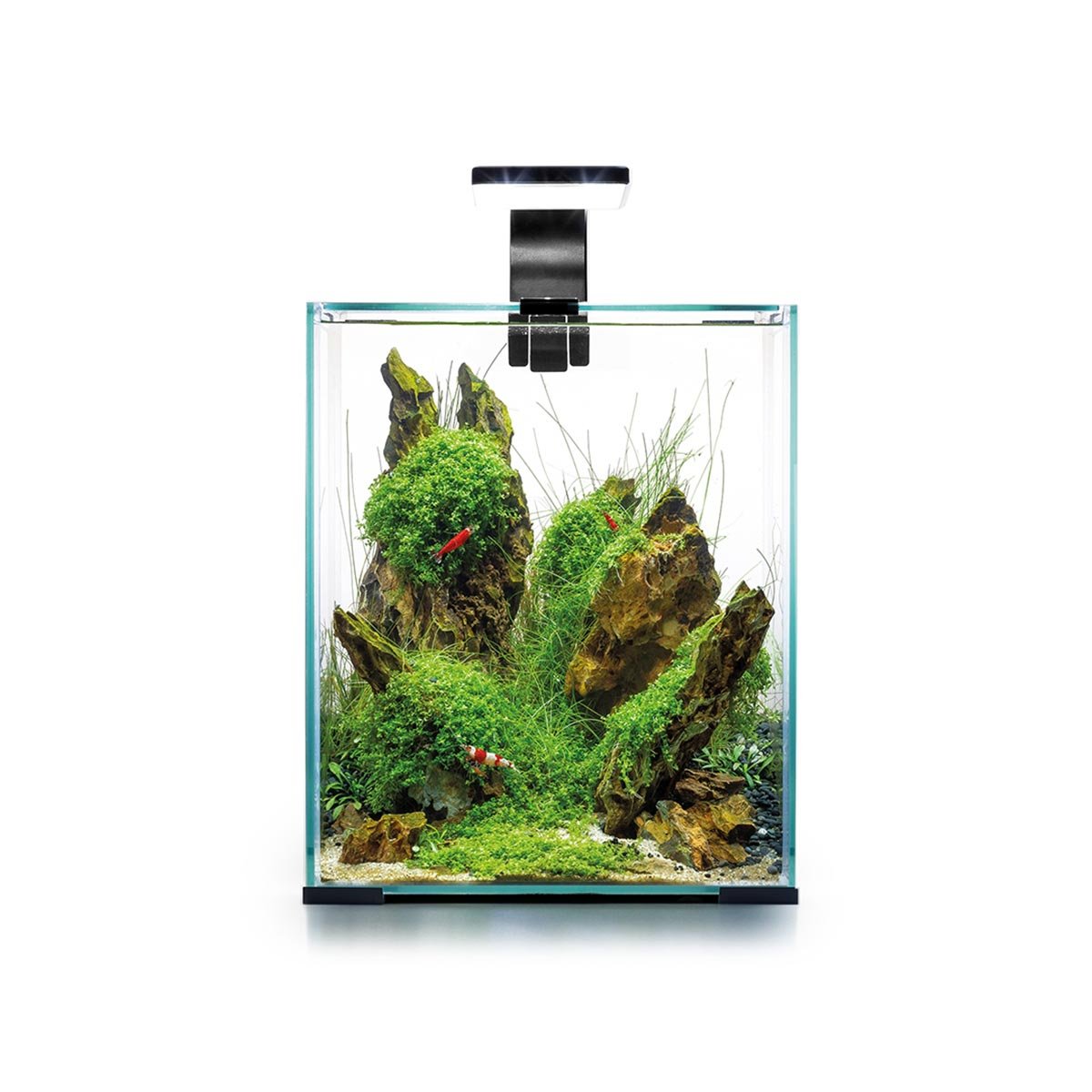 Aquael Shrimp Set Tag & Nacht schwarz 20 Liter, 25 x 25 x 30 cm von Aquael