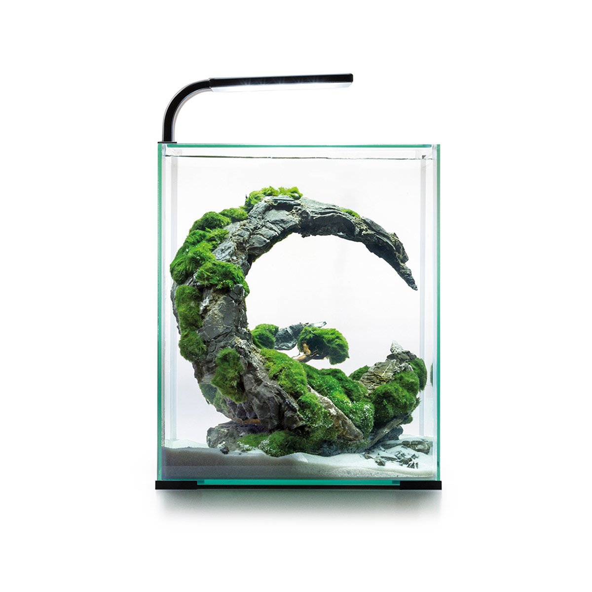 Aquael Shrimp Set Tag & Nacht schwarz 30 Liter, 29 x 29 x 35 cm Aquael Shrimp Set Tag & Nacht schwarz 30 Liter, 29 x 29 x 35 cm von Aquael