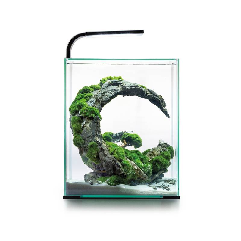 Aquael Shrimp Set Tag & Nacht schwarz 30 Liter, 29 x 29 x 35 cm Aquael Shrimp Set Tag & Nacht schwarz 30 Liter, 29 x 29 x 35 cm von Aquael