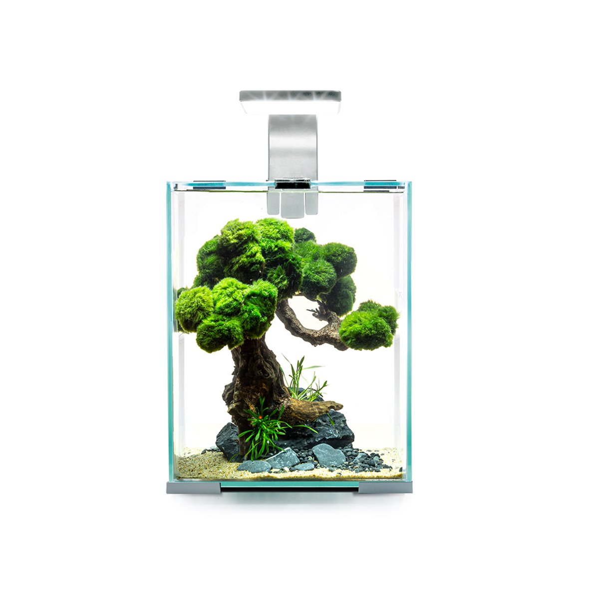 Aquael Shrimp Set Tag & Nacht weiß 10 Liter, 20 x 20 x 25 cm Aquael Shrimp Set Tag & Nacht weiß 10 Liter, 20 x 20 x 25 cm von Aquael