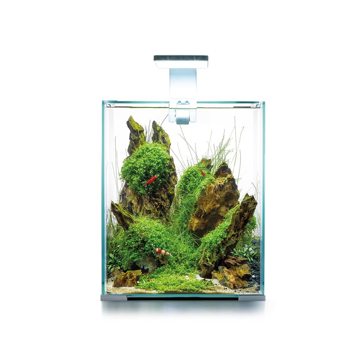 Aquael Shrimp Set Tag & Nacht weiß 20 Liter, 25 x 25 x 30 cm Aquael Shrimp Set Tag & Nacht weiß 20 Liter, 25 x 25 x 30 cm von Aquael