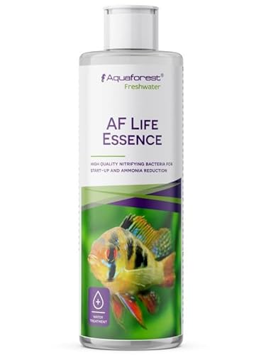 Aquaforest - AF Life Essence 125 ml - bakterieller Aktivator Aquaforest - AF Life Essence 125 ml - bakterieller Aktivator von Aquaforest