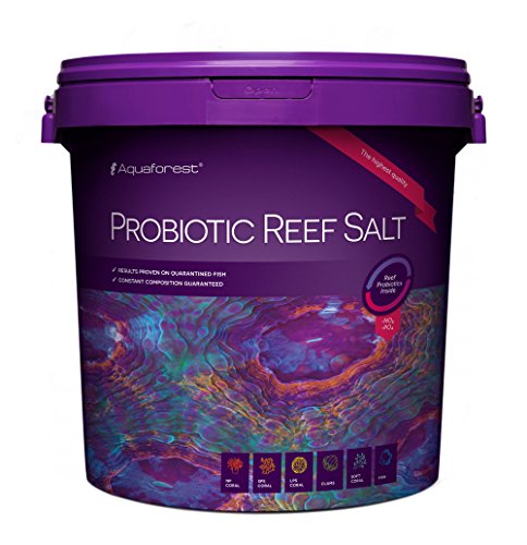 Aquaforest Probiotic Reef Salt 22kg Aquaforest Probiotic Reef Salt 22kg von Aquaforest