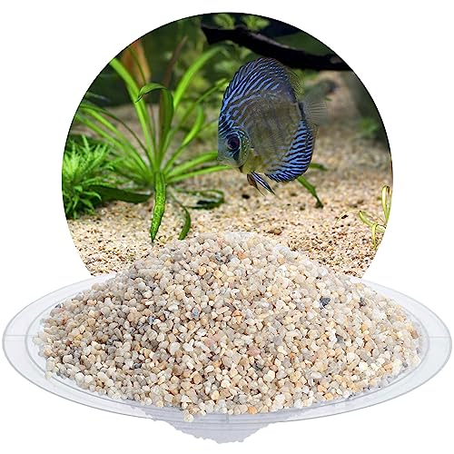 Schicker Mineral – 5 kg Aquariumkies Beige – grober Aquariumkies gewaschen & ungefärbt – kantengerundeter Bodengrund Kies für Süßwasseraquarien & Meerwasseraquarien (Ø Körnung: 2,0-3,15 mm) von Aquagran