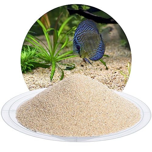 Schicker Mineral – 5 kg Aquariumsand Beige – grober Aquariumsand gewaschen & ungefärbt – kantengerundeter Bodengrund Kies für Süßwasseraquarien & Meerwasseraquarien (Ø Körnung: 0,4-0,8 mm) von Aquagran