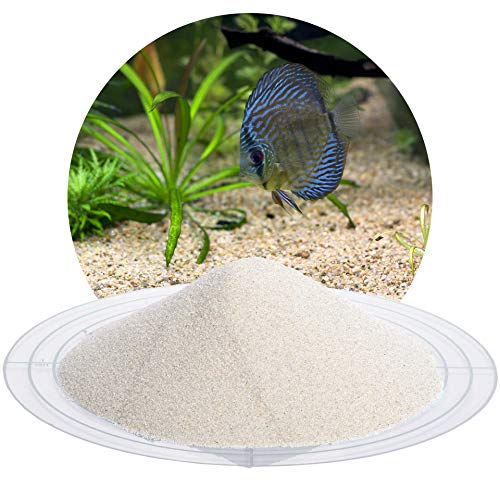 Schicker Mineral – 25 kg Aquariumsand Beige – feiner Aquariumkies gewaschen & ungefärbt – kantengerundeter Bodengrund Kies für Süßwasseraquarien & Meerwasseraquarien (Ø Körnung: 0,1-0,3 mm) von Aquagran