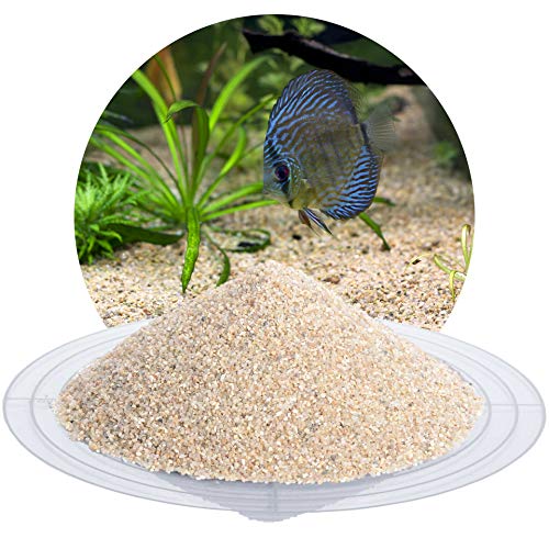 Schicker Mineral – 25 kg Aquariumsand Beige – feiner Aquariumkies gewaschen & ungefärbt – kantengerundeter Bodengrund Kies für Süßwasseraquarien & Meerwasseraquarien (Ø Körnung: 0,71-1,25 mm) von Schicker Mineral