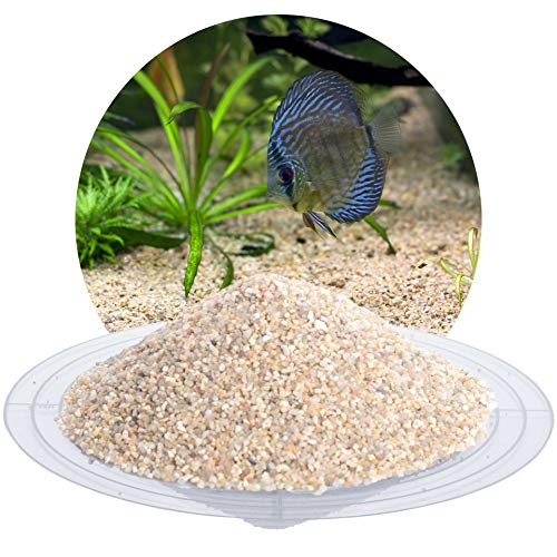 Schicker Mineral – 25 kg Aquariumsand Beige – feiner Aquariumkies gewaschen & ungefärbt – kantengerundeter Bodengrund Kies für Süßwasseraquarien & Meerwasseraquarien (Ø Körnung: 0,8-1,6 mm) von Schicker Mineral