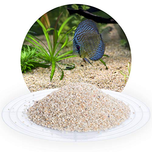 Schicker Mineral – 25 kg Aquariumsand Beige – feiner Aquariumkies gewaschen & ungefärbt – kantengerundeter Bodengrund Kies für Süßwasseraquarien & Meerwasseraquarien (Ø Körnung: 1,0-2,0 mm) von Aquagran