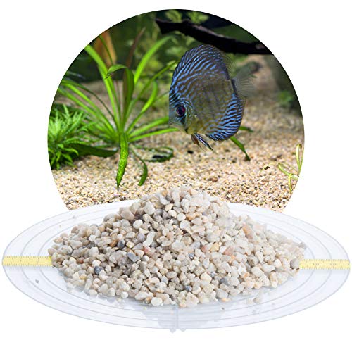 Schicker Mineral – 25 kg Aquariumkies Beige – grober Aquariumsand gewaschen & ungefärbt – kantengerundeter Bodengrund Kies für Süßwasseraquarien & Meerwasseraquarien (Ø Körnung: 3,15-5,6 mm) von Schicker Mineral