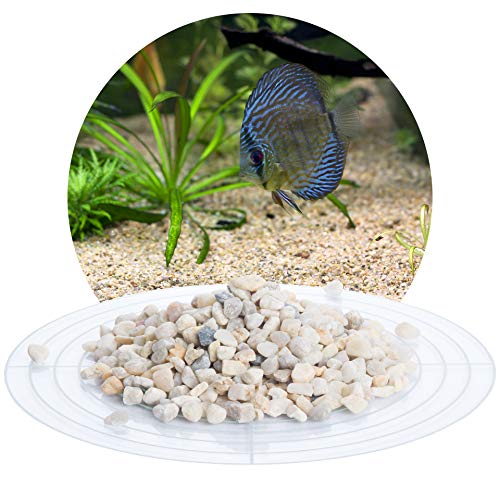 Schicker Mineral – 25 kg Aquariumkies Beige – grober Aquariumsand gewaschen & ungefärbt – kantengerundeter Bodengrund Kies für Süßwasseraquarien & Meerwasseraquarien (Ø Körnung: 5,6-8,0 mm) von Schicker Mineral