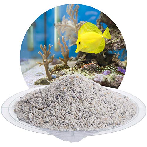 Schicker Mineral Aquariumkies weiß 25 kg, grober Aquariumsand gewaschen, ungefärbt, kantengerundeter Bodengrund, Kies für Süßwasseraquarien, Meerwasseraquarien, Aquascaping (Ø Körnung: 2,0-3,5 mm) von Schicker Mineral