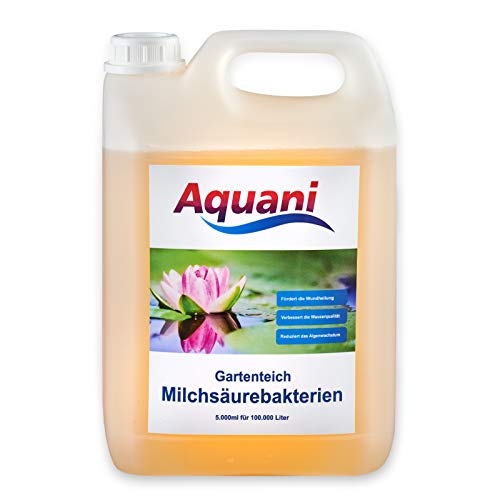 Aquani Milchsäurebakterien Teich 5.500ml probiotische Filterbakterien für alle Koi und Gartenteiche reduziert Nitrit und Algen + Gratis Messbecher Aquani Milchsäurebakterien Teich 5.500ml probiotische Filterbakterien für alle Koi und Gartenteiche reduziert Nitrit und Algen + Gratis Messbecher von Aquani