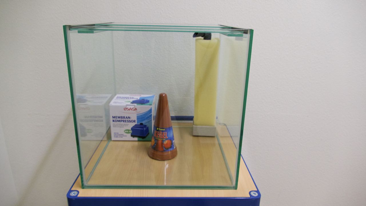 Zuchtwürfel/Aufzuchtaquarium/Quarantänebecken mit Abdeckscheiben auf Schiebeprofilen 50x50x50cm: 125 Liter von Aquarien