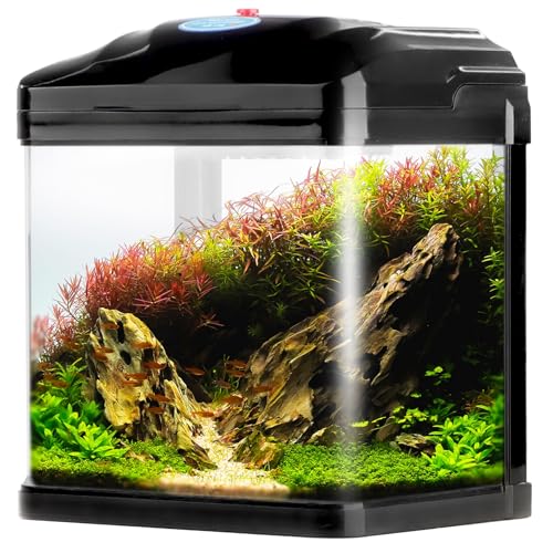 Pika-Pika AQUAKIDS - Aquarium 4L SCHWARZ Geschenk für Baby Spielzeug Set Aquarium für Kämpfer, was Spielzeug für Baby Pika-Pika AQUAKIDS - Aquarium 4L SCHWARZ Geschenk für Baby Spielzeug Set Aquarium für Kämpfer, was Spielzeug für Baby von Aquario