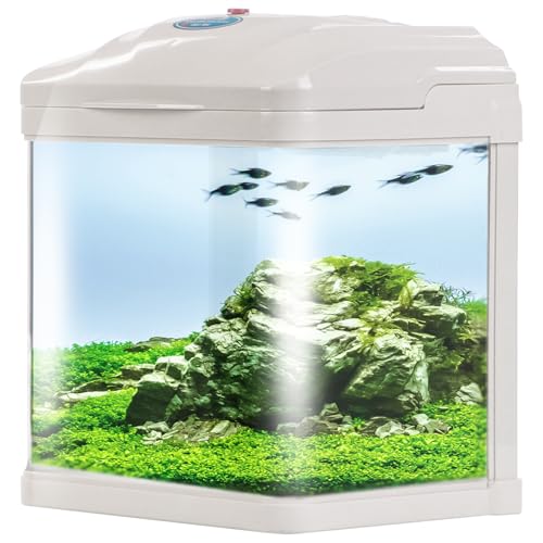 Aquario Pika-Pika AQUAKIDS - Aquarium 4L, Glas, Modern, Fisch, Innenbereich, Beleuchtung und Filter, Abdeckung, Vivarium von Aquario