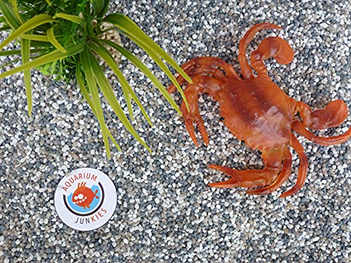 Aquarium-Junkies Arktis 1,8-3,5 (5 kg) von Aquarium-JunKies