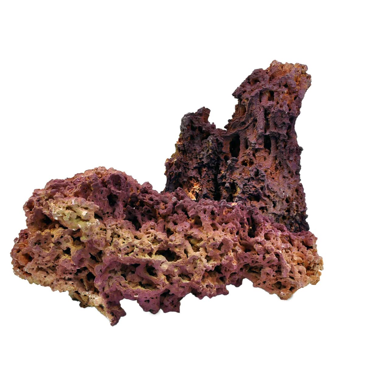 Aquarium Münster Aquadecor Jurassic Reef-Rock M Aquarium Münster Aquadecor Jurassic Reef-Rock M von Aquarium Münster