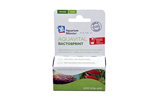 Aquarium Münster BACTOSPRINT Mikroorganismen und hoch konzentrierte Nährstoffe, für Aquarium, 10 ml von Aquarium Münster