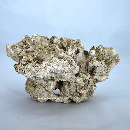 Riffgestein,18 x 13,5 x 10 cm Felsen Stein Nachbildung, Meerwasser Aquarium Deko von AQUARIUM PLÜDERHAUSEN