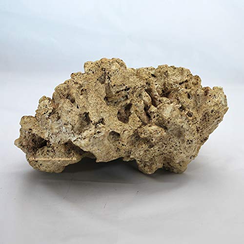 Riffgestein, 22 x 22,5 x12 cm, Felsen Stein Nachbildung,Meerwasser Aquarium Deko von AQUARIUM PLÜDERHAUSEN