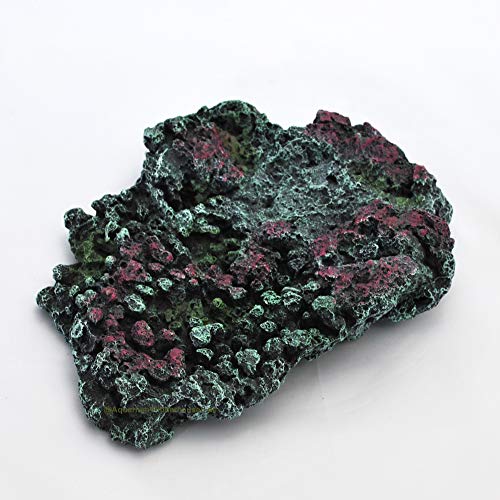 Riffgesteins Platte,22x17,5x5cm,Meerwasser Aquarium Deko,Riff Stein Nachbildung Riffgesteins Platte,22x17,5x5cm,Meerwasser Aquarium Deko,Riff Stein Nachbildung von AQUARIUM-PLÜDERHAUSEN