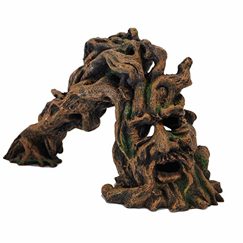 Wurzelmonster 28x14x17cm,Baumhöhle, Fischversteck, Garnelen,Aquarium Dekoration Wurzelmonster 28x14x17cm,Baumhöhle, Fischversteck, Garnelen,Aquarium Dekoration von AQUARIUM-PLÜDERHAUSEN