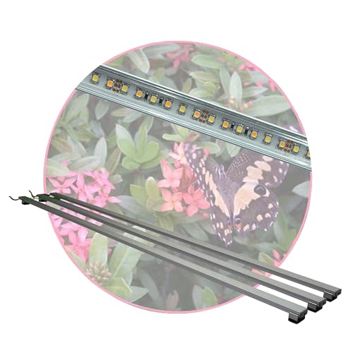 AQUARIUM-PLÜDERHAUSEN Regenwald Terrarium,Set3:3x LED-Beleuchtung 100cm +Zubehör,Tropen Pflanzenlicht AQUARIUM-PLÜDERHAUSEN Regenwald Terrarium,Set3:3x LED-Beleuchtung 100cm +Zubehör,Tropen Pflanzenlicht von AQUARIUM-PLÜDERHAUSEN