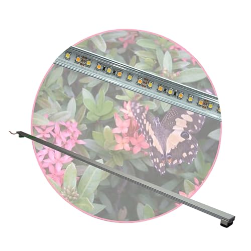 Regenwald Terrarium, Set1: 1x LED-Beleuchtung 40 cm + Zubehör, LED Leuchtbalken,LED Tropen Pflanzenlicht von AQUARIUM-PLÜDERHAUSEN