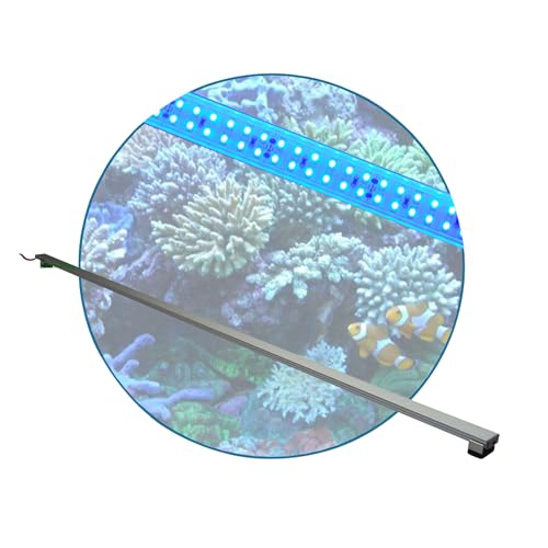 Meerwasser Aquarium - LED-Leuchtbalken 120 cm, 1 Leiste BLAU mit Trafo 24V von AQUARIUM-PLÜDERHAUSEN