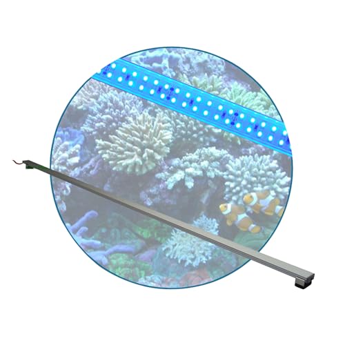 Meerwasser Aquarium - LED-Leuchtbalken 170 cm, 1 Leiste BLAU mit Trafo 60W von Aquarium Plüderhausen