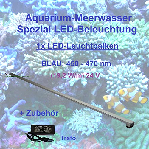 Meerwasser Aquarium - LED-Leuchtbalken 200 cm, 1 Leiste BLAU mit Trafo 60W von Aquarium Plüderhausen