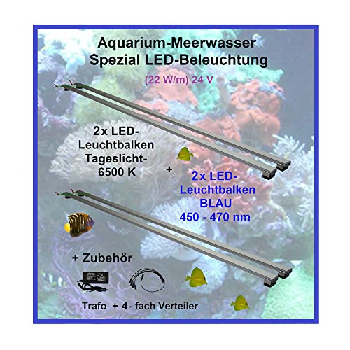 Meerwasser Aquarium - LED-Leuchtbalken 30cm, 4 Leisten, 2xTageslicht + 2X Blau mit Trafo 60W und Verteiler von AQUARIUM PLÜDERHAUSEN