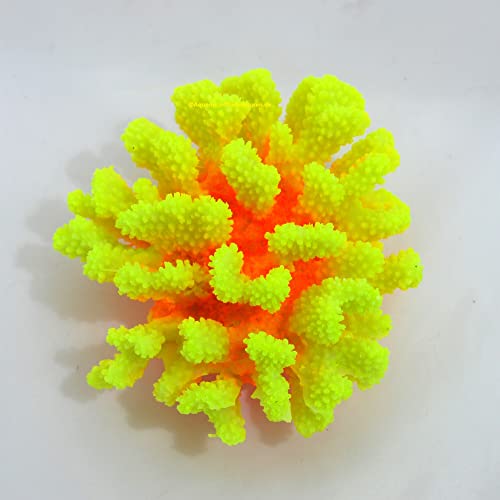 Steinkoralle, 16x 14x 8 cm, SPS, Aquarium Korallen, Stylophora Nachbildung gelb von AQUARIUM PLÜDERHAUSEN