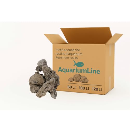 Whimar Formicary Rock – Set Foto mit 13 natürlichen Felsen für Aquarium, Terrarium und Ameisenhaufen – pH-neutrale Steine, ungiftig, ideal für Aquascaping, Insekten und Wüstenhäuser oder tropische Whimar Formicary Rock – Set Foto mit 13 natürlichen Felsen für Aquarium, Terrarium und Ameisenhaufen – pH-neutrale Steine, ungiftig, ideal für Aquascaping, Insekten und Wüstenhäuser oder tropische von AquariumLine