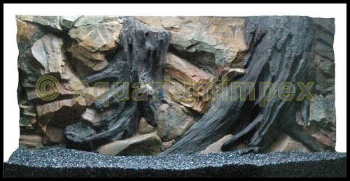 3D Aquarienrückwand 100x50 Root von Aquariumimpex