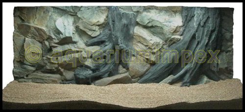 3D Aquarienrückwand 120x50 Root von Aquariumimpex