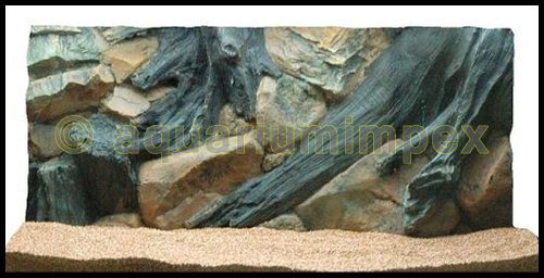 3D Aquarienrückwand 80x40 Root von Aquariumimpex