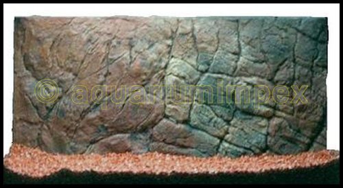 3D Aquarium Rückwand 60x30 Aquariumrückwand Dünn von Aquariumimpex