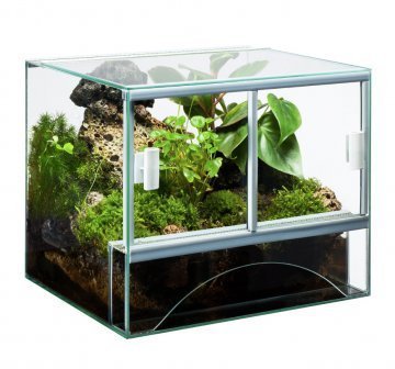 Glas Terrarium mit Belüftung 30x25x25 cm 30 25 von Diversa