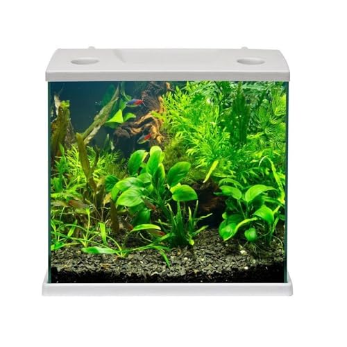 Aquariumline Cleo Plus 22,5 l Aquarium komplett mit Innenfilter - 34,5 x 23,5 x 33,5 cm grau Aquariumline Cleo Plus 22,5 l Aquarium komplett mit Innenfilter - 34,5 x 23,5 x 33,5 cm grau von Aquariumline