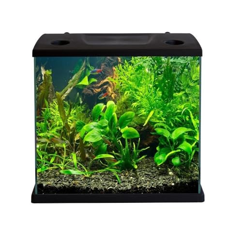 Aquariumline Cleo Plus 22,5 l Aquarium komplett mit Innenfilter - 34,5 x 23,5 x 33,5 cm schwarz Aquariumline Cleo Plus 22,5 l Aquarium komplett mit Innenfilter - 34,5 x 23,5 x 33,5 cm schwarz von Aquariumline
