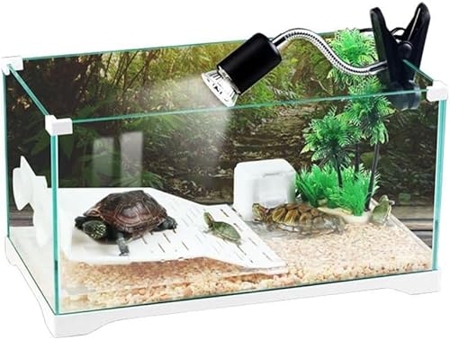 Aquariumline Schildkröten/Glasvitrine für Reptilien, Wasser- und Landschildkröten, 60 x 32 x 27 cm, Fassungsvermögen 54 Liter Aquariumline Schildkröten/Glasvitrine für Reptilien, Wasser- und Landschildkröten, 60 x 32 x 27 cm, Fassungsvermögen 54 Liter von Aquariumline