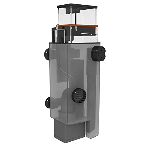 AQUATICLIFE 151 Mini Protein Skimmer für Meerwasser Aquarien, Kleine Nano Tanks, interner Aquarium Filter 40 Gallonen AQUATICLIFE 151 Mini Protein Skimmer für Meerwasser Aquarien, Kleine Nano Tanks, interner Aquarium Filter 40 Gallonen von Aquatic Life