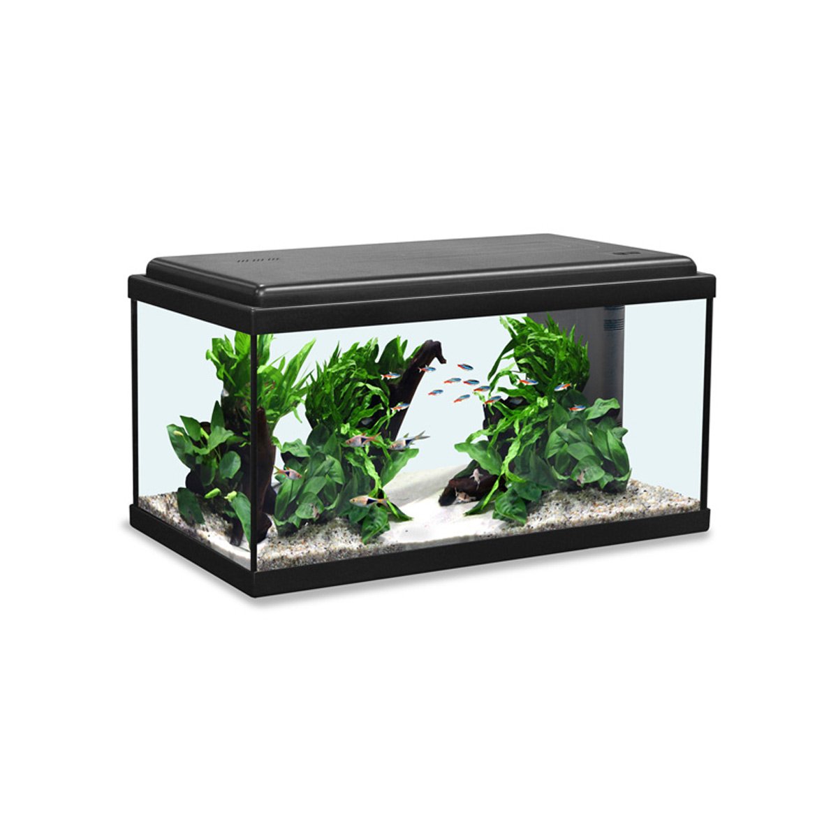 Aquatlantis Aquarium Advance LED 60 schwarz Aquatlantis Aquarium Advance LED 60 schwarz von Aquatlantis