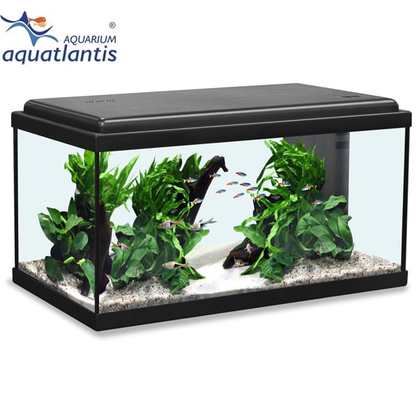 Aquatlantis Aquarium Advance LED 60 schwarz von Aquatlantis