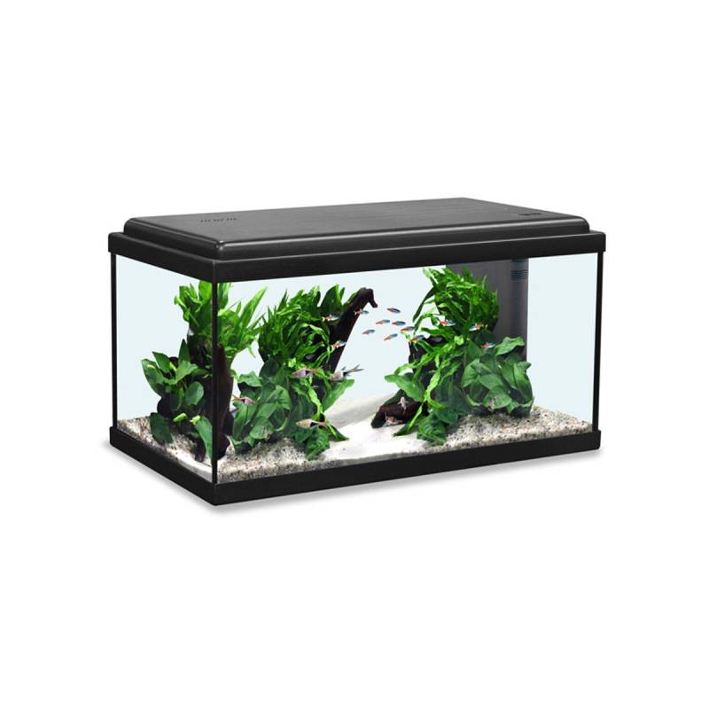 Aquatlantis Aquarium Advance LED 60 schwarz von Aquatlantis