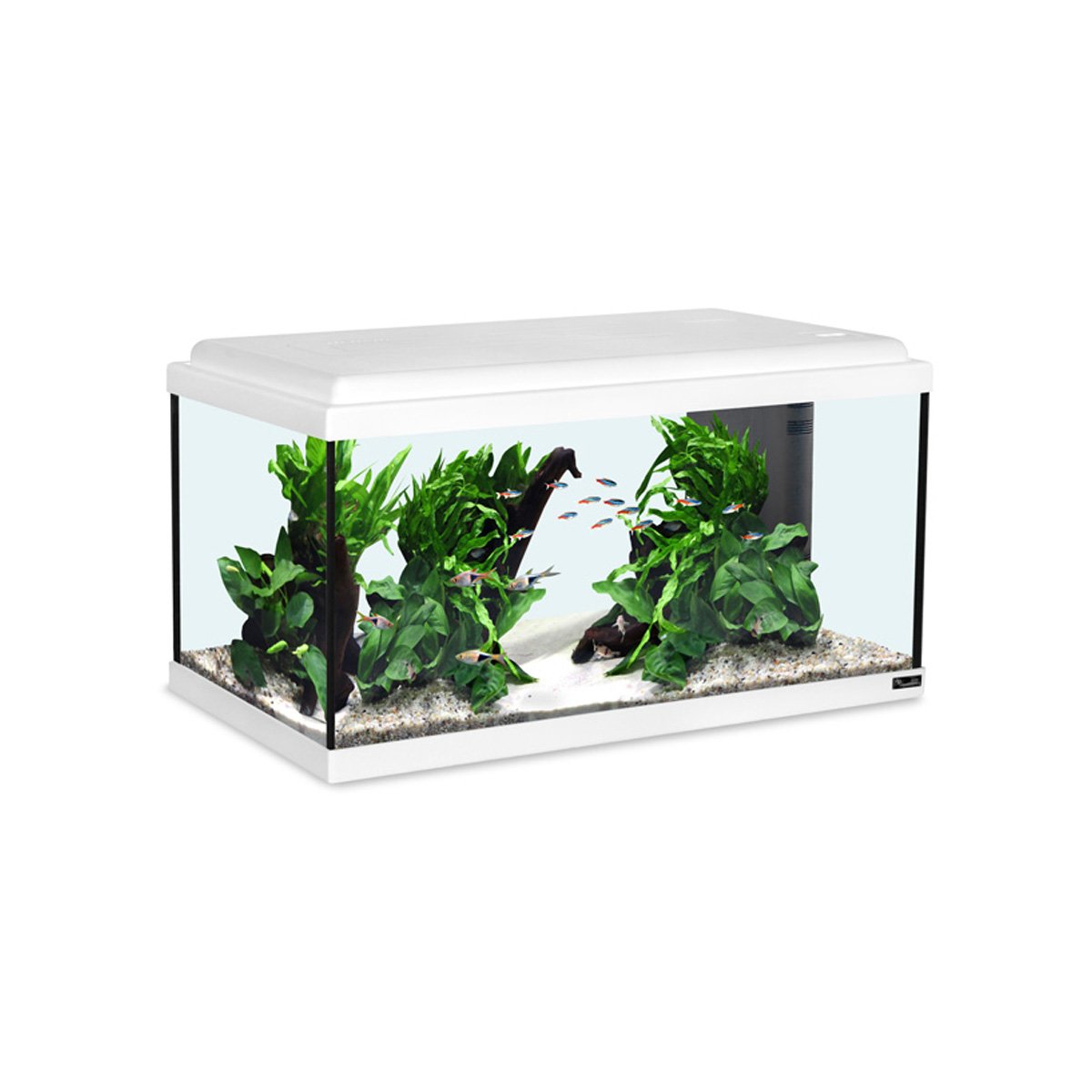 Aquatlantis Aquarium Advance LED 60 weiß Aquatlantis Aquarium Advance LED 60 weiß von Aquatlantis