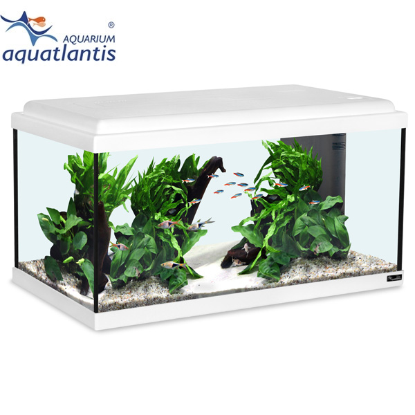 Aquatlantis Aquarium Advance LED 60 weiß von Aquatlantis