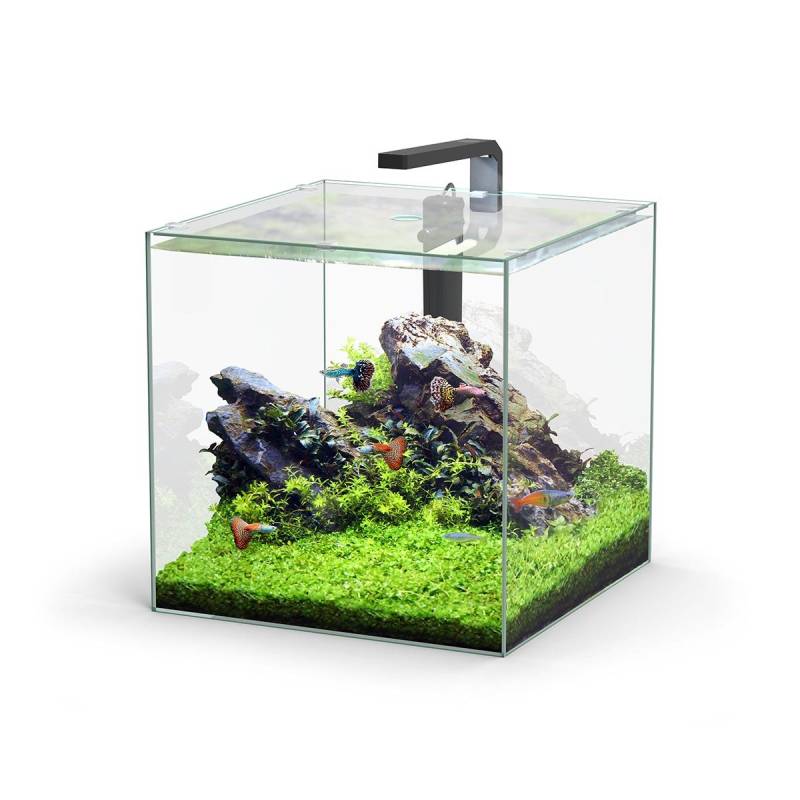 Aquatlantis Aquarium Set Kubus LED 54l von Aquatlantis